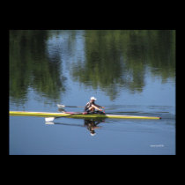 Sculling Poster posters