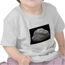 sculpting photos t-shirts by firstladycharities sculpting photos t-shirts