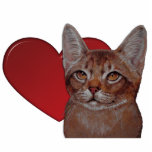 Sculpture - Abyssinian Cat Photo Sculpture