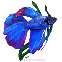 Sculpture - Betta Fish photo sculptures