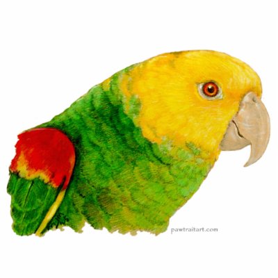 Sculpture - Double Yellow Headed Amazon Cut Out by pawtraitart