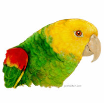 Sculpture - Double Yellow Headed Amazon photo sculptures