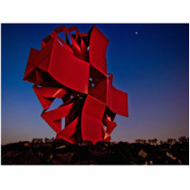 Sculpture Marine Park Photo Cut Outs
