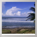 sea and sun poster