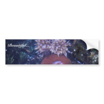 sea anemone bumper stickers