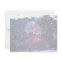 sea anemone custom invitation
