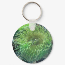 Sea Anemone keychains by erin_kathleen Sea Anemone keychains