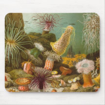 Sea Anemone Mouse Pad