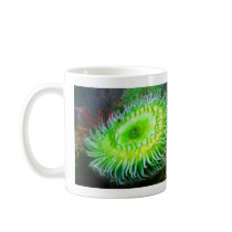 Sea Anemone  mugs