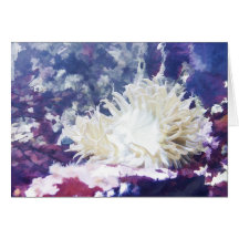 Sea anemone note card