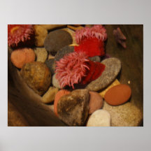 Sea anemone posters