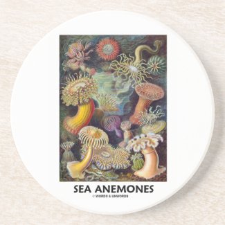 Sea Anemones Beverage Coasters
