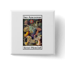 Sea Anemones by Ernst Haeckel Pin