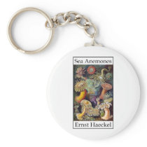 Sea Anemones by Ernst Haeckel Keychains