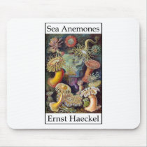 Sea Anemones by Ernst Haeckel Mouse Pads