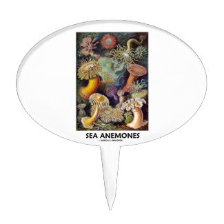 Sea Anemones Cake Topper