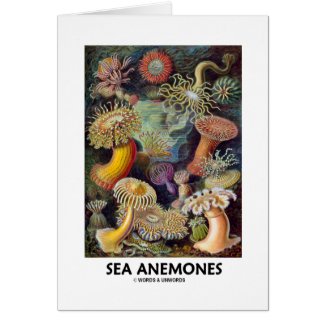 Sea Anemones Greeting Card