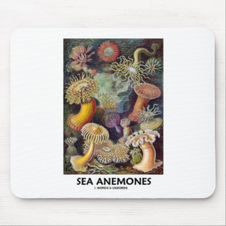 Sea Anemones Mousepad