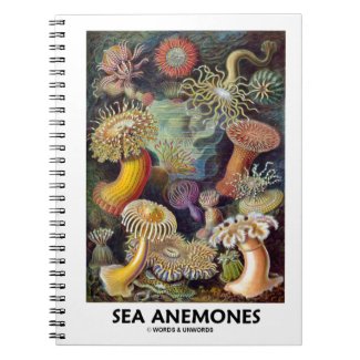 Sea Anemones Note Book