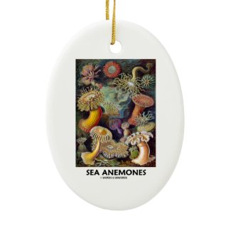 Sea Anemones Ornaments