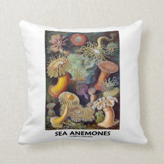 Sea Anemones Pillow
