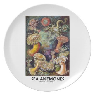 Sea Anemones Plate