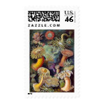 Sea Anemones Stamp