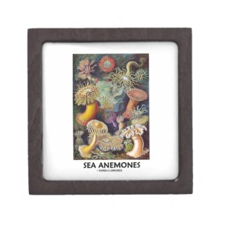 Sea Anemones Premium Keepsake Boxes
