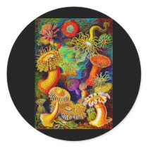 Sea Anemones Stickers