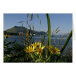 Sea Beach Senecio, Unalaska Island Greeting Card