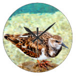 Sea bird clock wall clocks