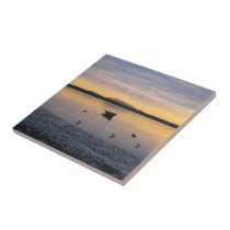 Sea Birds and Boat tiles