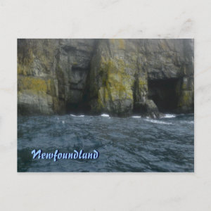 Sea Caves postcard