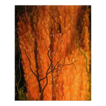 Sea Cedar posters
