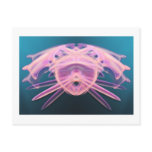 Sea Creature 2 Postcards