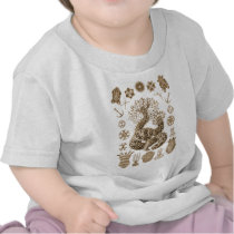 Sea Cucumbers T Shirt