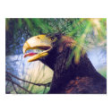 Sea Eagle posters by SophiaDeer Sea Eagle posters