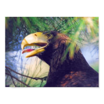 Sea Eagle posters