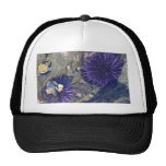 Sea Erchins Tidepools Trucker Hat
