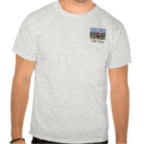Sea Fury Wings Folded, Sea Fury t-shirts