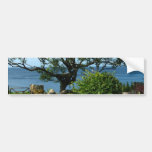 Sea Garden Tree Bumper Sticker