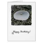 Sea Glass Birthday Card
