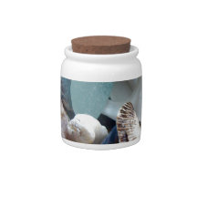 Sea Glass Shell Collected Candy Jars