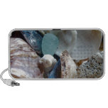 Sea Glass Shell Collected Laptop Speakers