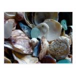 Sea Glass Shell Collected Post Card