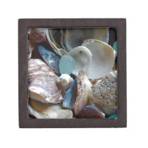 Sea Glass Shell Collected Premium Keepsake Box