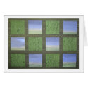 Sea Grass cards by mkelzer Sea Grass cards