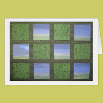 Sea Grass cards