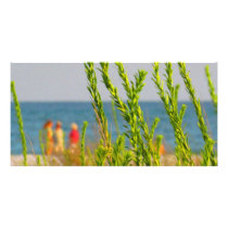 Sea Grasses Photo Card Template
