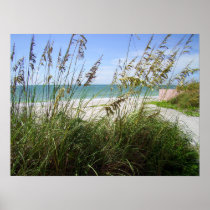 Sea Grasses Posters